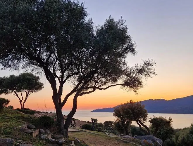 Mini 69 - Piscine Chauffee * 赛拉蒂费罗