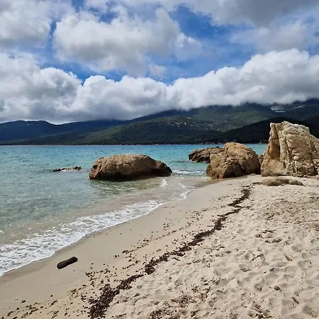 Ferienhaus Mini 69 - Piscine Chauffee Serra-di-Ferro (Corsica)
